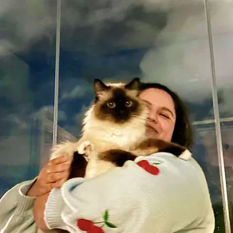 Ovärderliga Quito Quito 3