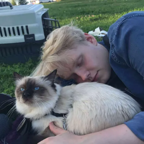 Ovärderliga Quito Quito 4